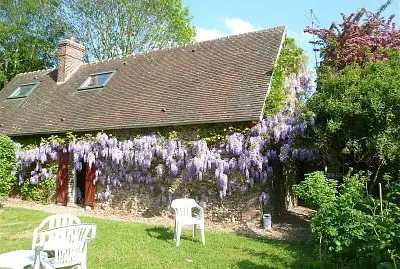 Rohaire glycine de printemps jigsaw puzzle