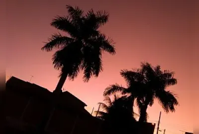 natural jigsaw puzzle