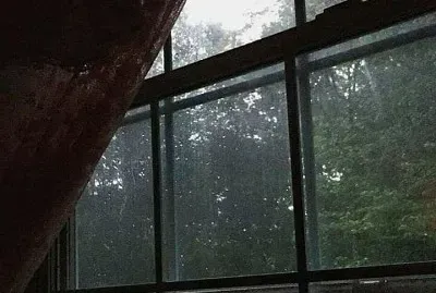 natural jigsaw puzzle