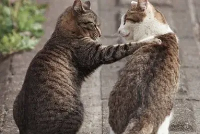 麥驚！你還有我在 jigsaw puzzle