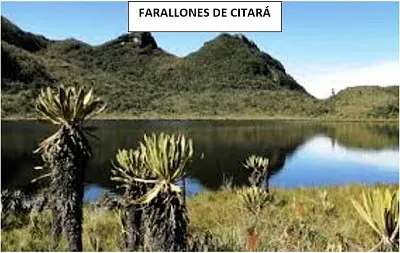 farallones de citara