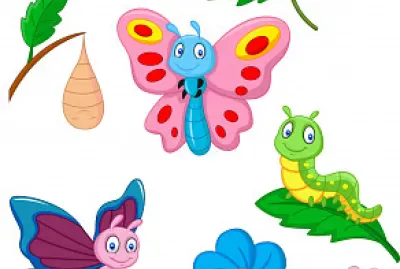 MARIPOSA