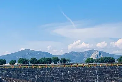 ViÃ±edos, QuerÃ©taro jigsaw puzzle