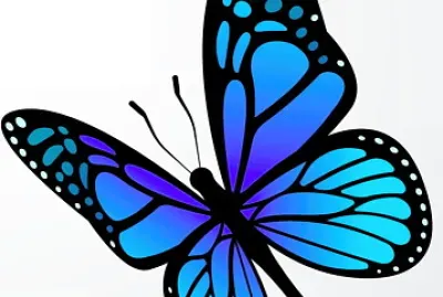 POEMA VINÃCIOS DE MORAES  " BORBOLETA "