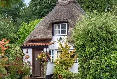 פאזל של Picture