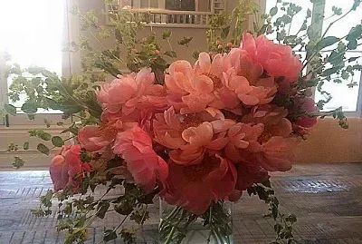 flores