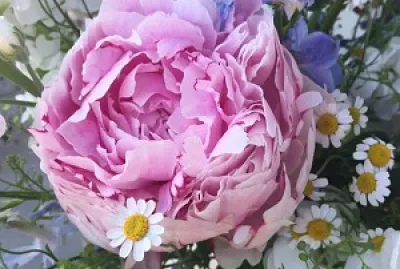 פאזל של Rosa