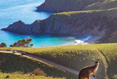 natural jigsaw puzzle