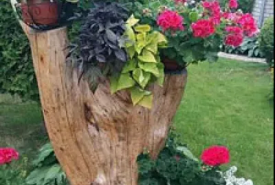 Natureza
