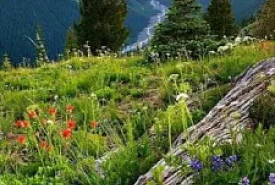 Natureza