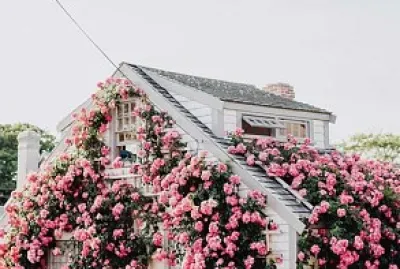 flores jigsaw puzzle