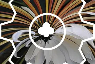 fleurs en feu artifice