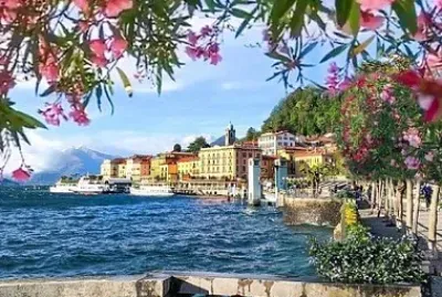 flores jigsaw puzzle