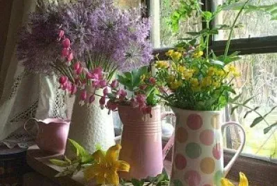 פאזל של belleza