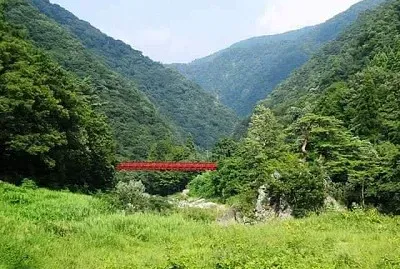 imagem jigsaw puzzle