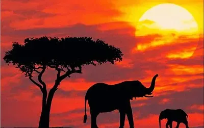 Quenia jigsaw puzzle