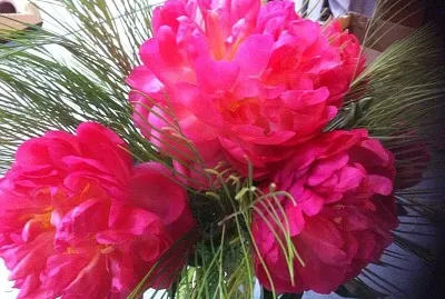 flores jigsaw puzzle