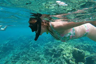 snorkel jigsaw puzzle