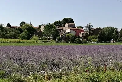 la Provenza in Italia