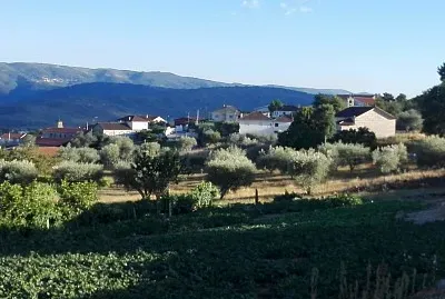 NATURALEZA jigsaw puzzle