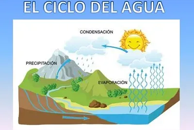 Â¿QuÃ© es? jigsaw puzzle