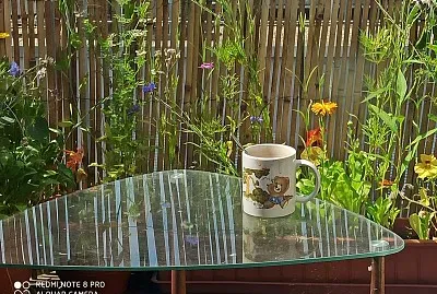 פאזל של A cup cocoa