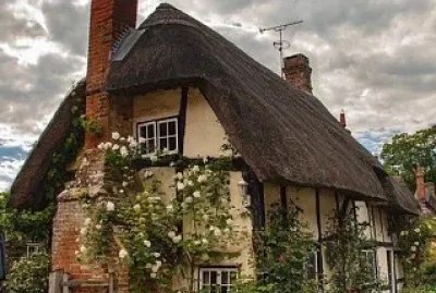 flores jigsaw puzzle