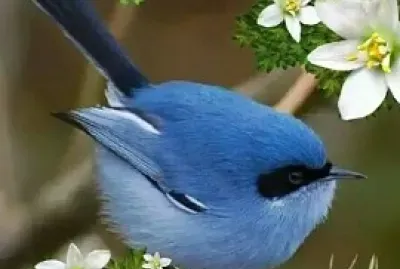 natural