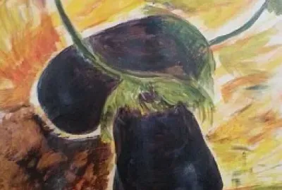 ×–×•×’ ×—×¦×™×œ×™× jigsaw puzzle