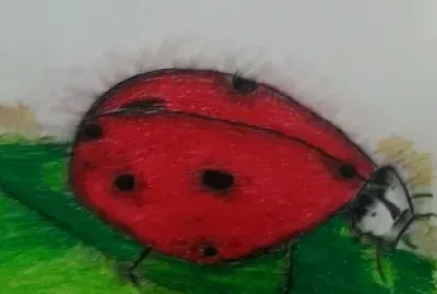 ×—×™×¤×•×©×™×ª