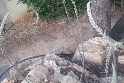 ×—×¦×‘ jigsaw puzzle