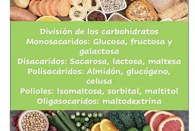 DivisiÃ³n de carbohidratos