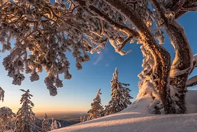imagem jigsaw puzzle