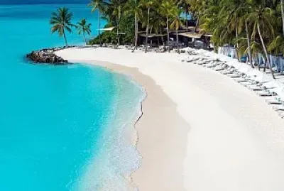 The Sea