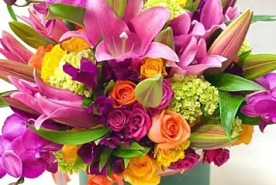 flores