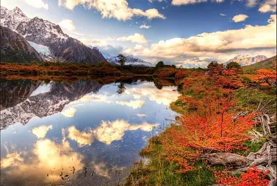 natureza jigsaw puzzle