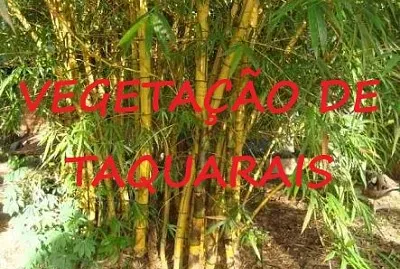 Quebra-cabeÃ§a