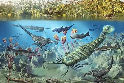 Â¿QuÃ© periodo del eÃ³n Fanerozoico se muestra en la