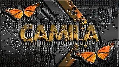 פאזל של anacamila10