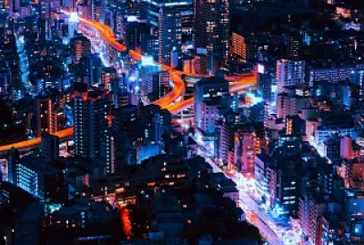 night life