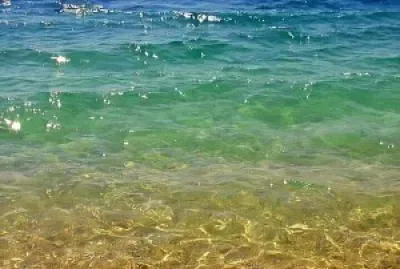 sea