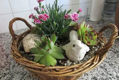 פאזל של Steinschale