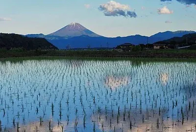 imagem jigsaw puzzle