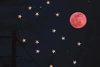 pink moon jigsaw puzzle
