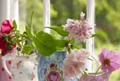 flores
