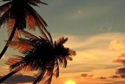 Atardecer, Playa y Palmeras