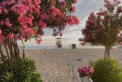 flores
