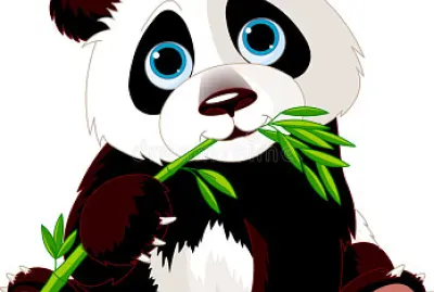 Wild Panda eating bamboo.