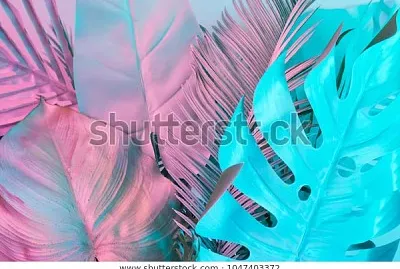 tropical palm leaves vibrant bold