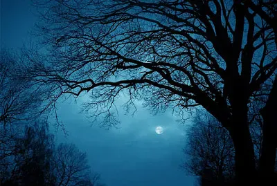 natural jigsaw puzzle